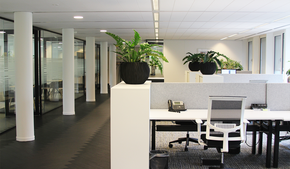 onderhoud monumentaal-pand